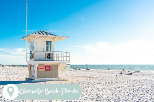 Indigo Beach Oasis - Minutes to Clearwater Beach! home