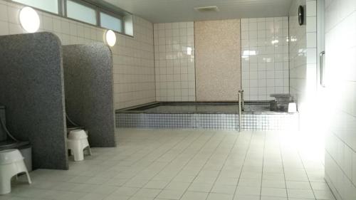 Hotel Alpha-One Himeji Minamiguchi - Himeji