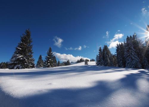 Alpenapartments Unterschlag - image 11