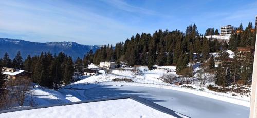 Chamrousse - Résidence Le Vernon, Chamrousse (fotografie 7)