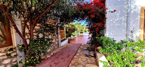 Terrasses vertes Terrasses vertes