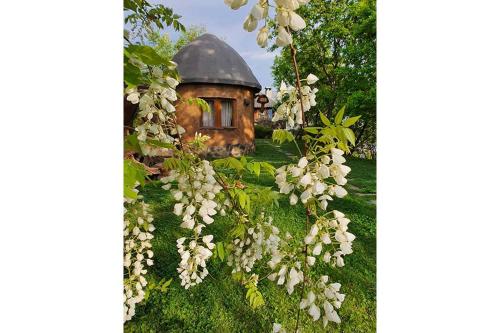 Villa with Garden View