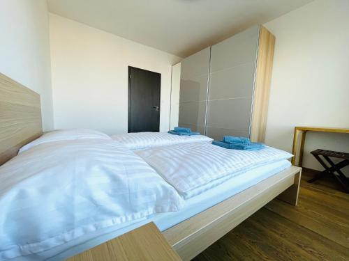 SAG 18th floor Beautiful apartment in center free wifi, Bratislava (fotografie 10)