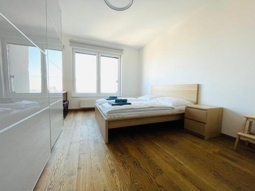 SAG 18th floor Beautiful apartment in center free wifi, Bratislava (fotografie 9)