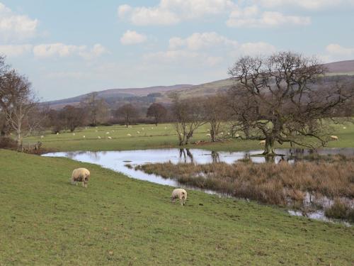 Berwyn View Holiday Home