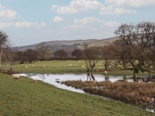 Berwyn View Holiday Home