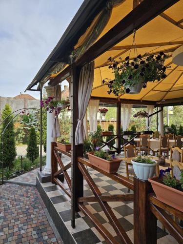 Viesnīcas āriene, Minihotel Zolotoe Runo in Perečina