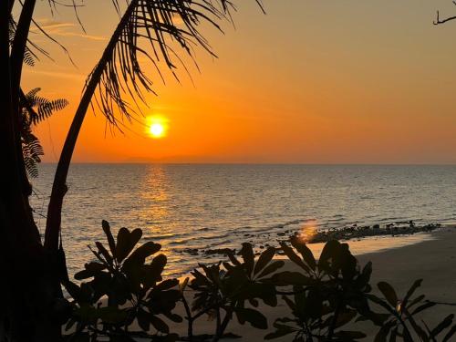 Phi Phi Private Beach Resort - 전망