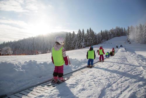 Lake Peak Apartments, Ribniško Pohorje