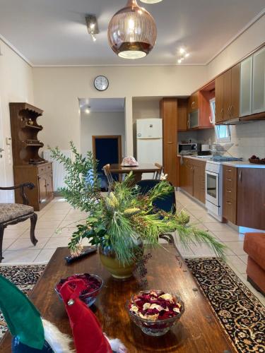 BRINA'S LUXURY APARTMENTS in Аджія Апостолі