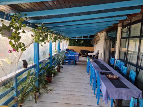 Vila Flavius in Dunavatul De Jos