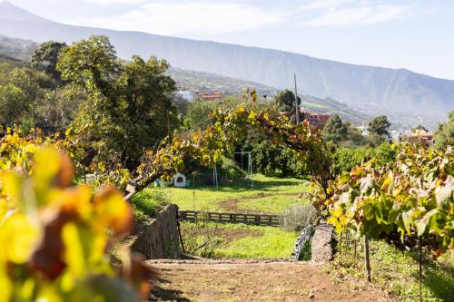 EK Teide Finca el Milagro