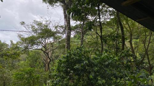 Finca la Bonita, Playa Carate