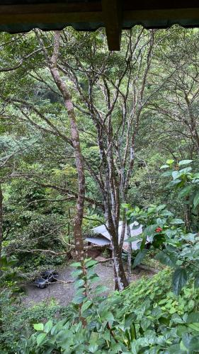 Finca la Bonita, Playa Carate