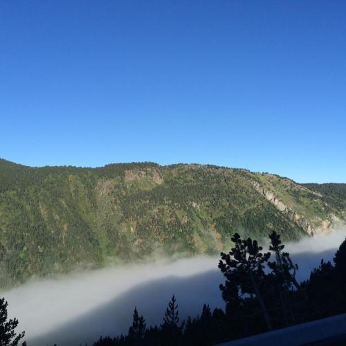 Roch Hotel - image 14
