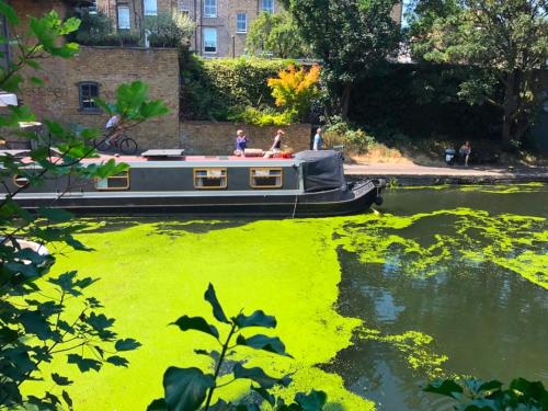 Urban Oasis with Views in Old St