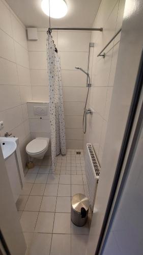Appartment im Bremer Westen, Brémy