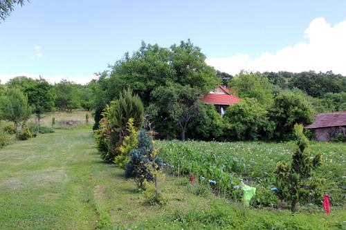 Bableves Vendégház - image 3