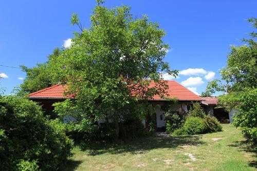 Bableves Vendégház - image 7