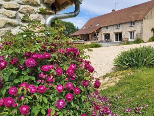 Le pré de la rue (Le pre de la rue) in بويس