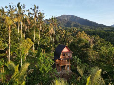 Bali jungle cabin