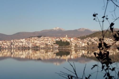 B&B Kastoria - Daphne Luxury Apartment - Bed and Breakfast Kastoria