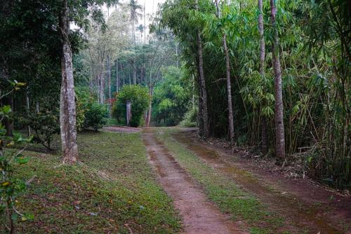 Greens Vista Wayanad - Premium Homestay Near Natural Stream