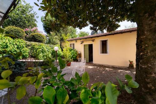 * Villa Fiorentina - Private Oasis in Barga Town