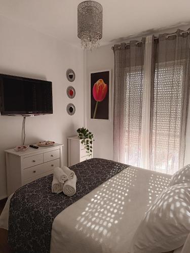 Hostal Casa Blanca, Sevilla (fotografie 11)