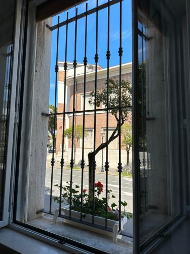  APPARTAMENTO per 3 PERSONE A 800 Mt DAL MARE E NEL PIENO CENTRO STORICO DI RIMINI Residenza Galliana e il buon vivere di Rimini Instagram residenza galliana rimini in Rimini