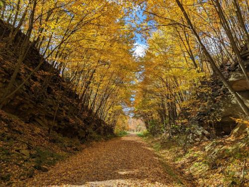 Stay In Ohiopyle near everything including the trail, Ohiopyle PA