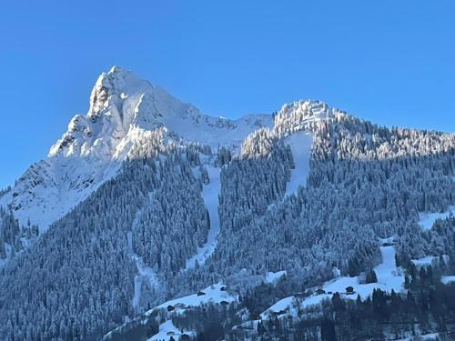 Apartment Sonnenlicht