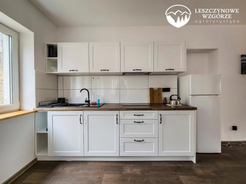 Konyha, Agroturystyka Leszczynowe Wzgórze (Agroturystyka Leszczynowe Wzgorze) in Gluszyca Gorna