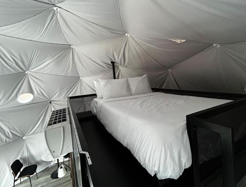 516412699 Pagosa River Domes