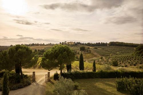 516434199 Castello Del Nero - Podere San Filippo