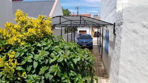 Duplex Paumaran