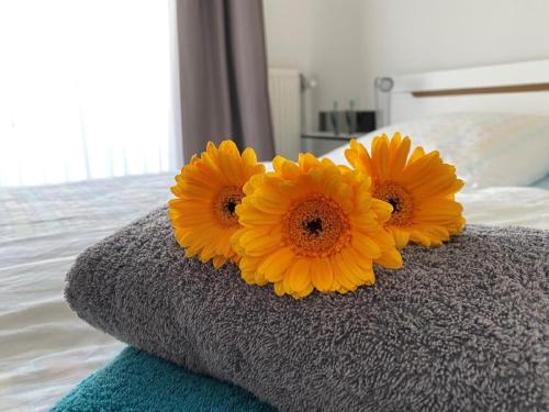 Oasis 10, Cuxhaven (Foto 10)