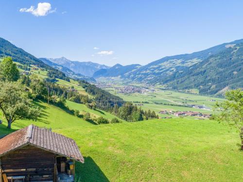  Alpenrose und Edelweiss in Kaltenbach