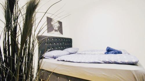  Comfort Rooms in Praterstern Area in Wien