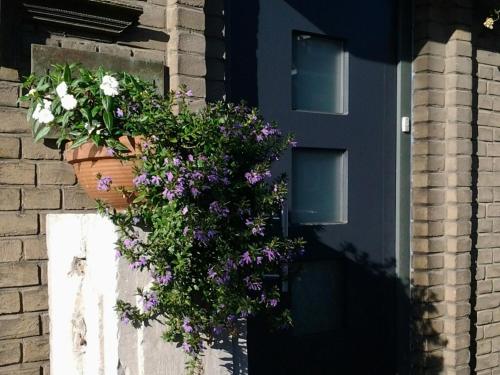 B&B Joke de Groot, Maastricht (foto 11)