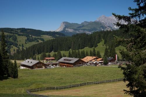 51646881 Dolomites Living Hotel Tirler