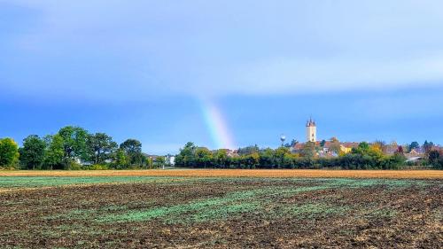 Apartmány Miromar - image 6