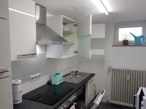廚房, Ferienwohnung Nürnberg (Ferienwohnung Nurnberg) in 韋斯特利希奧森施塔特
