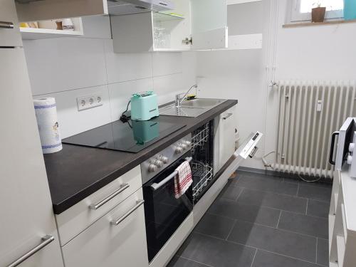 廚房, Ferienwohnung Nürnberg (Ferienwohnung Nurnberg) in 韋斯特利希奧森施塔特