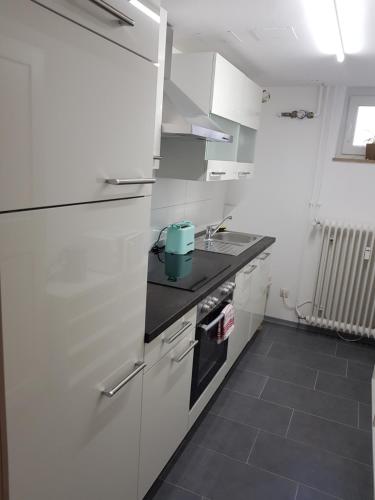 廚房, Ferienwohnung Nürnberg (Ferienwohnung Nurnberg) in 韋斯特利希奧森施塔特