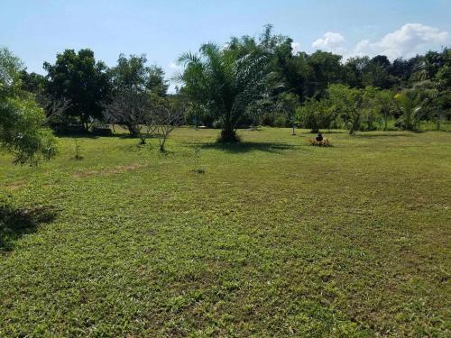 Paradise Hill Paradise Hill