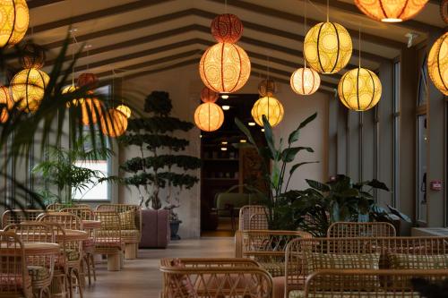 Faciliteter, Serra Boutique Hôtel (Serra Boutique Hotel) in Agen