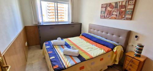 Gemelos 22-1-6, Benidorm (fotografie 7)
