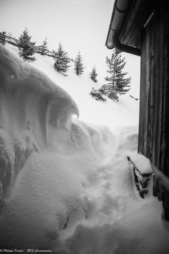 Hillary Hotel - image 14