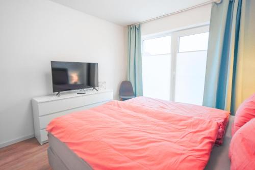 Apartment with Terrace image 10